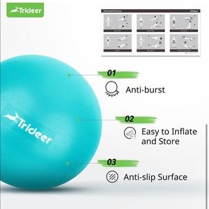 FWP - Unopened - NWT - 9in Exercise Ball - Pilates